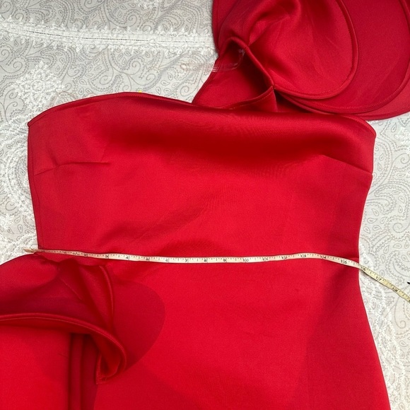 Gorgeous plus size dress - Picture 15 of 16